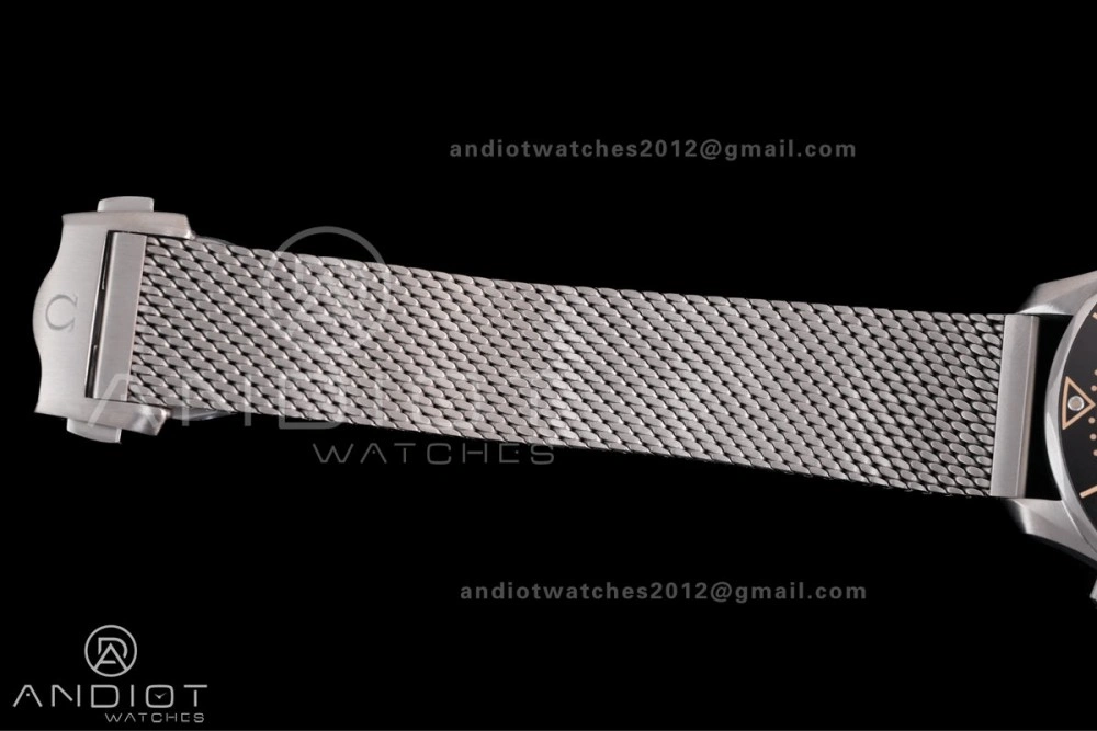 Seamaster 300 